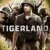 Tigerland Small Poster