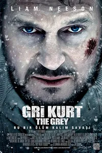 Gri Kurt – The Grey 2012 Poster