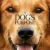 Can Dostum – A Dog’s Purpose Small Poster