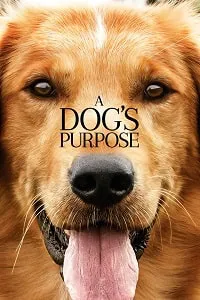 Can Dostum – A Dog’s Purpose Poster