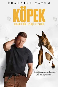 Köpek – Dog 2022 Poster