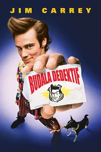 Budala Dedektif - Ace Ventura: Pet Detective Small Poster