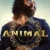Hayvan – Animal Small Poster
